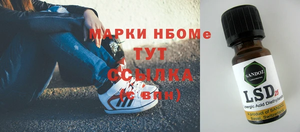 сатива Баксан