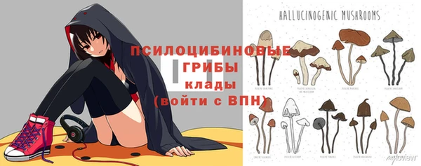сатива Баксан