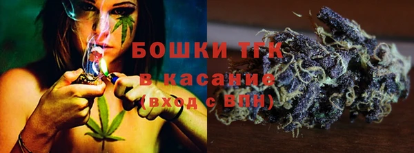 сатива Баксан