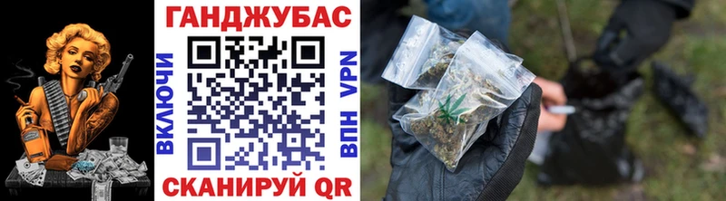 Конопля гибрид  Черноголовка 